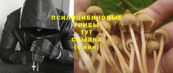 МДМА Нестеровская