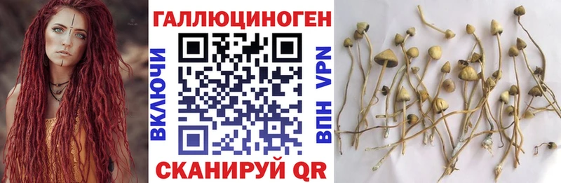 Псилоцибиновые грибы ЛСД  Алупка 